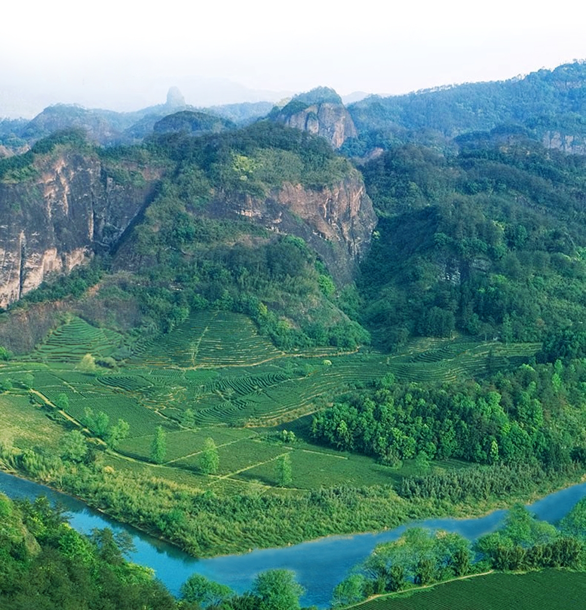 1744363049406387.jpg 1200.jpg